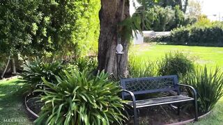 Hailey Rose's first time with Neverland's busty fairy & her big tits bouncing!