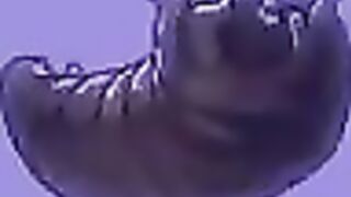 Unpaid Extra Shift Hours with Lia Lin, Tiffany Tatum & Bunny Brownie in POV