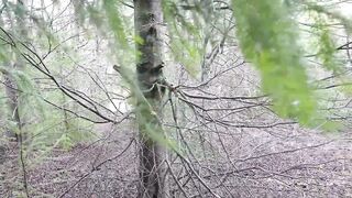 Coral Jade goes wild in the woods & fucks lost teen girl