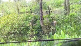 Sweetie Fox Gets Pounded In Fishnet Stockings At Luxury Hotel