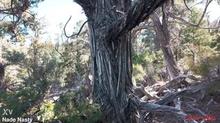 Willow Ryder Gets Tied And Drilled Anal In Forest